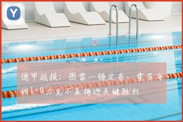 德甲战报:图雷一锤定音,霍芬海姆1-0力克不莱梅迎关键胜利